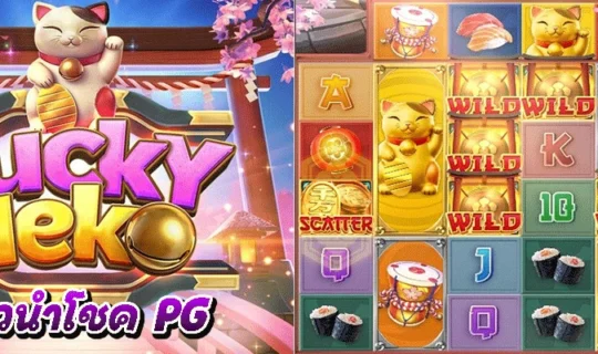 แมวนำโชค PG